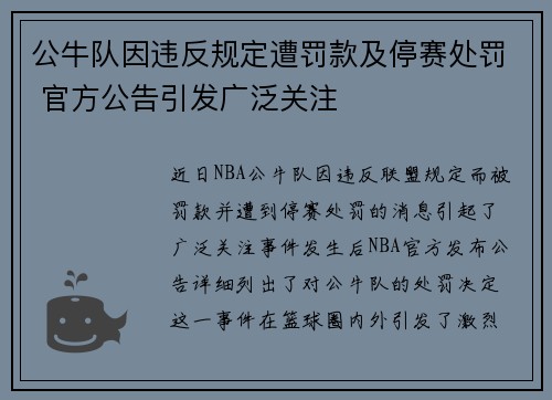 公牛队因违反规定遭罚款及停赛处罚 官方公告引发广泛关注