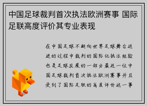 中国足球裁判首次执法欧洲赛事 国际足联高度评价其专业表现