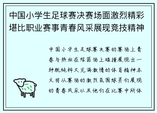 中国小学生足球赛决赛场面激烈精彩堪比职业赛事青春风采展现竞技精神